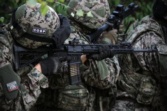 AR15 Dynamic L 16,75